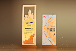 VSPORTS(中国)国际一举斩获“2024年度中国区最佳雇主”等多项大奖