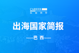 VSPORTS(中国)GO GLOBAL | 巴西国家简报